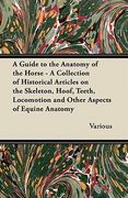 a guide to the anatomy of the horse - a collection of historical articles on the skeleton, hoof, teeth, locomotion and other aspects of equine anato (en Inglés)