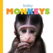 Baby Monkeys (en Inglés)