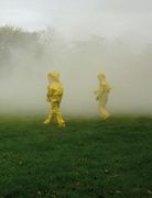 critical art ensemble