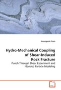 hydro-mechanical coupling of shear-induced rock fracture
