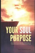 Your Soul Purpose: Reincarnation and the Spectrum of Consciousness in Human Evolution (en Inglés)