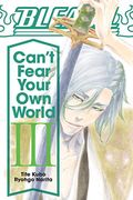 Bleach: Can'T Fear Your own World, Vol. 3 (en Inglés)