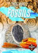 Fossils (Rocks & Minerals) (en Inglés)