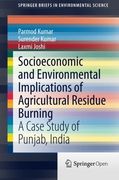 Socioeconomic and Environmental Implications of Agricultural Residue Burning: A Case Study of Punjab, India (Springerbriefs in Environmental Science) (en Inglés)