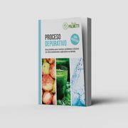 Proceso Depurativo, el (in Spanish)