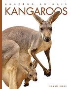 Kangaroos (Amazing Animals) (en Inglés)