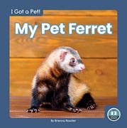 My pet Ferret (i got a Pet! ) 