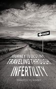 journey to destiny, traveling through infertility