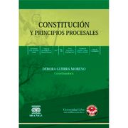 CONSTITUCIÓN Y PRINCIPIOS PROCESALES (in Spanish)