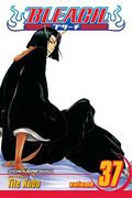 bleach, volume 37