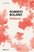 Amberes - Roberto Bolaño - Debolsillo