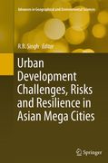 Urban Development Challenges, Risks and Resilience in Asian Mega Cities (en Inglés)