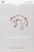La Vida De Un Gato (Sitio De Fuego)