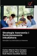 Strategie tworzenia i funkcjonowania inkubatora (en Polaco)