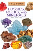 Fossils, Rocks, and Minerals (en Inglés)