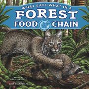 What Eats What in a Forest Food Chain (en Inglés)
