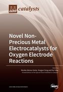 Novel Non-Precious Metal Electrocatalysts for Oxygen Electrode Reactions