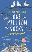 The boy who Stole one Million Socks: A Brilliantly Funny Children's Book to Inspire Young Eco-Warriors (en Inglés)