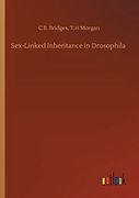 Sex-Linked Inheritance in Drosophila