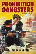 prohibition gangsters: cultural, social, and political processes in transnational prespective (en Inglés)