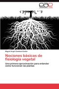 Nociones básicas de fisiología vegetal: Una primera aproximación para entender cómo funcionan las plantas