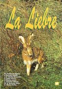 La Liebre