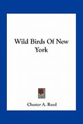 wild birds of new york