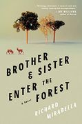 Brother & Sister Enter the Forest: A Novel (en Inglés)