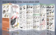 AVES DEL NORTE DE CHILE -BIRDS OF NORTHERN CHILE