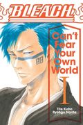 Bleach: Can'T Fear Your own World, Vol. 1 (en Inglés)
