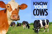 Know Your Cows (en Inglés)