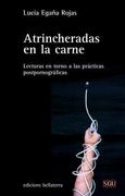Atrincheradas en la Carne: Lecturas en Torno a las Prácticas Postpornográficas (Sgu) (in Spanish)