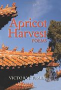 apricot harvest (en Inglés)