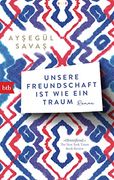 Unsere Freundschaft ist wie ein Traum: Roman (en Alemán)