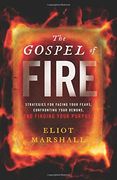 The Gospel of Fire: Strategies for Facing Your Fears, Confronting Your Demons, and Finding Your Purpose 