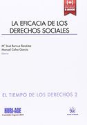 La Eficacia de los Derechos Sociales