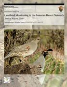Landbird Monitoring in the Sonoran Desert Network: Annual Report, 2009 (en Inglés)