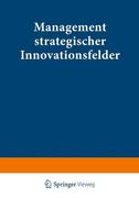 Management Strategischer Innovationsfelder: Prozeßbasierte Integration Markt- und Technologieorientierter Instrumente (in German)