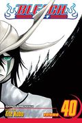 bleach, volume 40 (en Inglés)