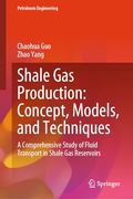 Shale gas Production: Concept, Models, and Techniques: A Comprehensive Study of Fluid Transport in Shale gas Reservoirs (Petroleum Engineering) (en Inglés)