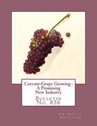 Currant-Grape Growing: A Promising New Industry: Bulletin No. 856 (en Inglés)