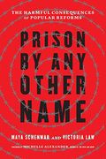 Prison by any Other Name: The Harmful Consequences of Popular Reforms (en Inglés)