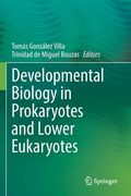Developmental Biology in Prokaryotes and Lower Eukaryotes (en Inglés)