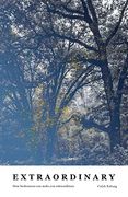 Extraordinary: How Brokenness can Make you Extraordinary (en Inglés)