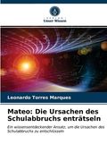 Mateo: Die Ursachen des Schulabbruchs enträtseln (en Alemán)