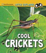 Cool Crickets (Insect Explorer) (en Inglés)