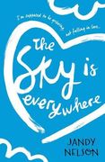 The sky is Everywhere 