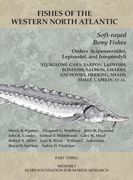 Soft-rayed Bony Fishes: Orders Acipenseroidei, Lepisostei, and Isospondyli: Part 3 (en Inglés)