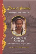 a picture of freedom,the diary of clotee, a slave girl (en Inglés)