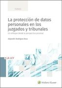 La Protección de Datos Personales en los Juzgados y Tribunales: Un Enfoque Desde la Perspectiva Procesal